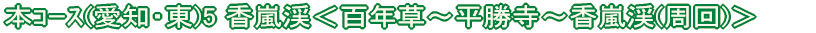 本コース(愛知・東)3 昭和の森<猿投神社〜力石