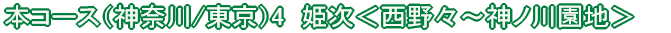 恵那コース(8) 旭高原<元気村〜串原温泉(往復)>