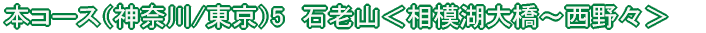 恵那コース(8) 旭高原<元気村〜串原温泉(往復)>