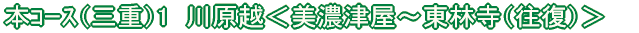 恵那コース(7) 日本大正村<串原〜明智>