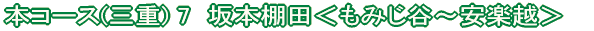 恵那コース(7) 日本大正村<串原〜明智>