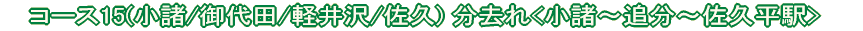 コース15(小諸/御代田/軽井沢/佐久) 分去れ<小諸〜追分〜佐久平駅>