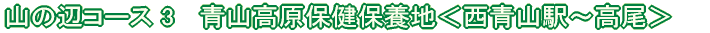 恵那コース(7) 日本大正村<串原〜明智>